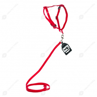 Комплект шлейка (ОШ 20-30 см, ОГ 30-45 см) и поводок (1,2 м), 1 см, КРАСНЫЙ, ДАРЭЛЛ